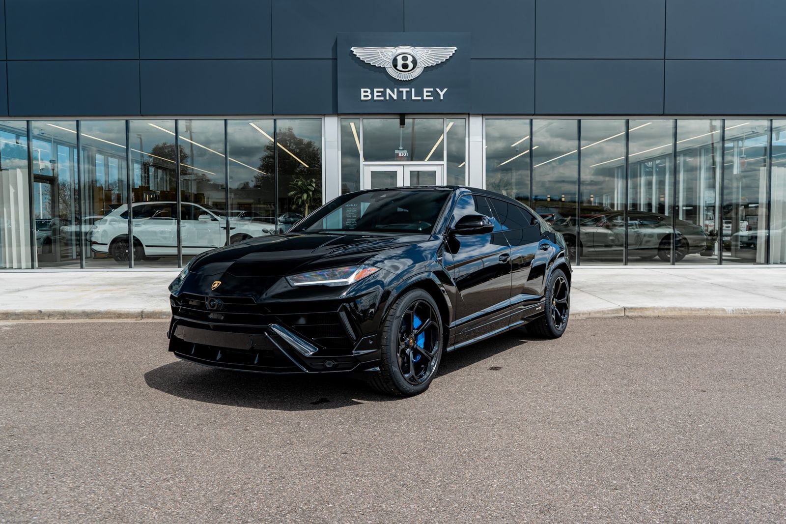 Used 2024 Lamborghini Urus S