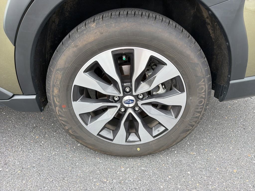 Certified 2025 Subaru Outback Limited image 12