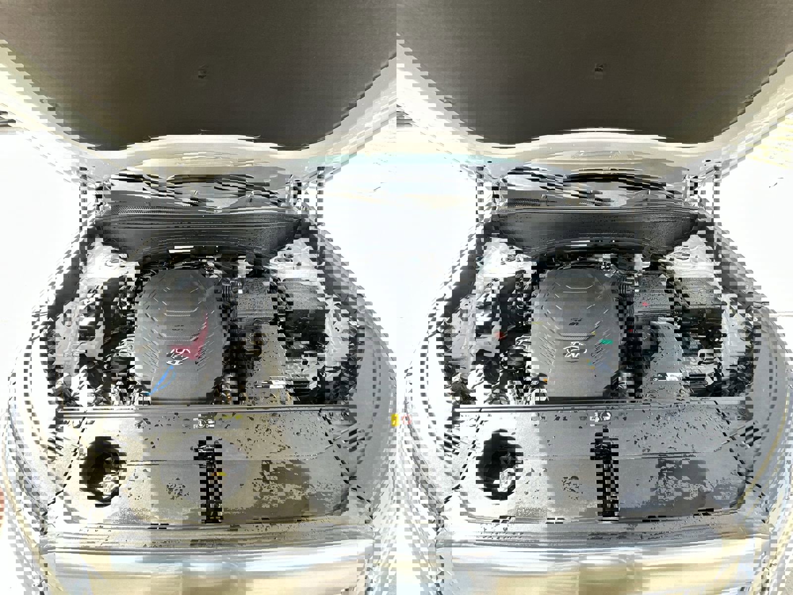 Used 2024 Hyundai Palisade Calligraphy image 31