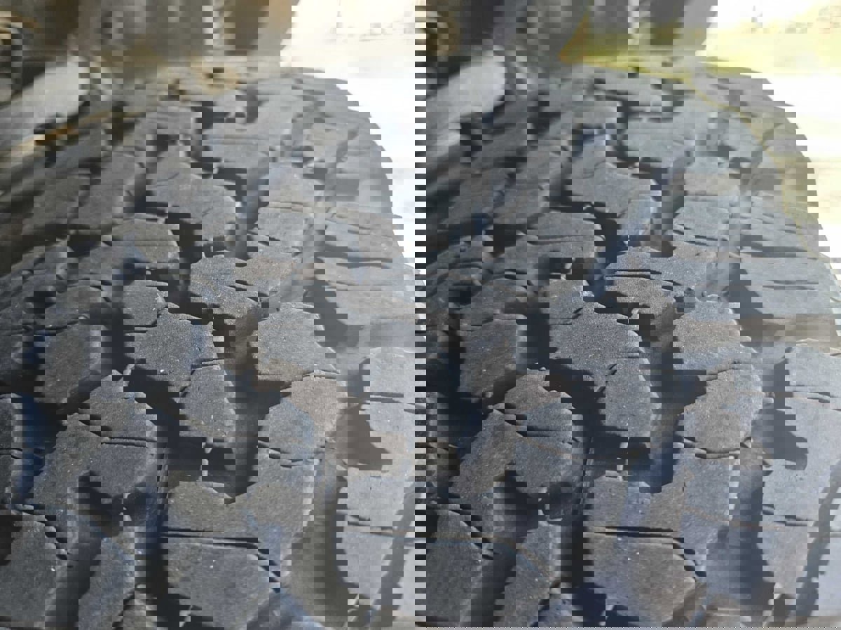 Used 2007 Toyota FJ Cruiser 4WD image 31