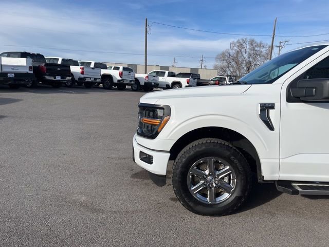 Used 2025 Ford F150 XLT w/ Equipment Group 301A Standard image 5