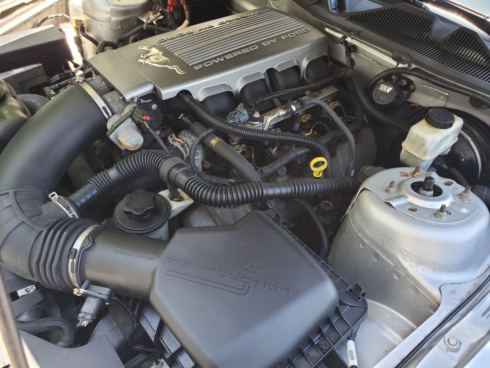 Used 2010 Ford Mustang GT Premium RWD image 15