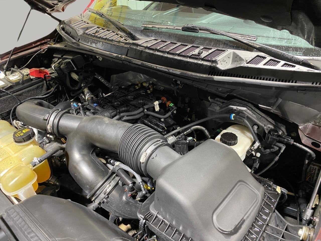 Used 2020 Ford F150 XLT w/ Equipment Group 302A Luxury AWD/4WD image 24