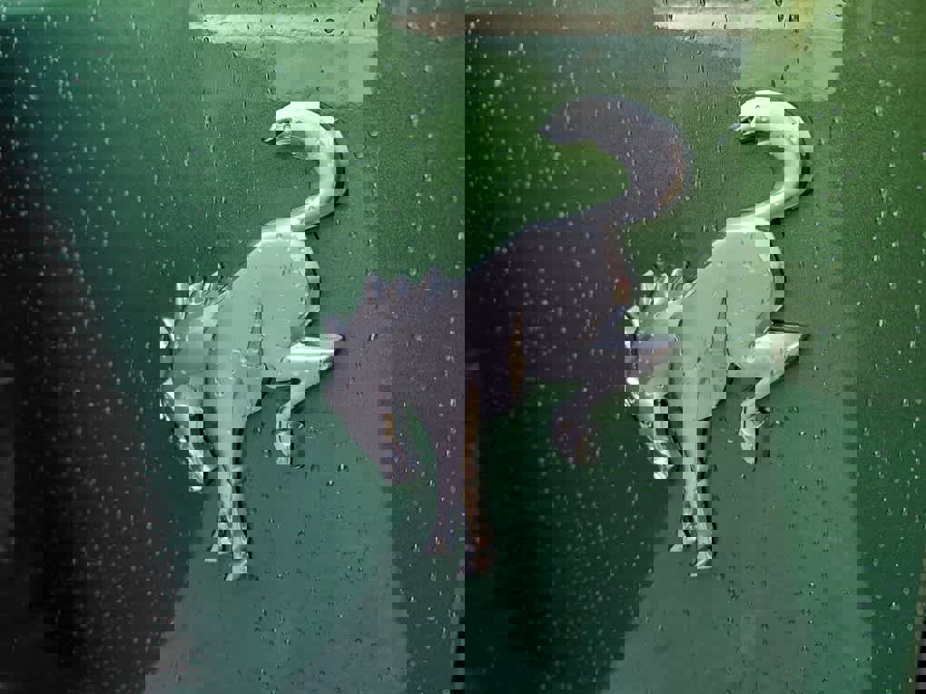 New 2025 Ford Bronco Badlands image 14