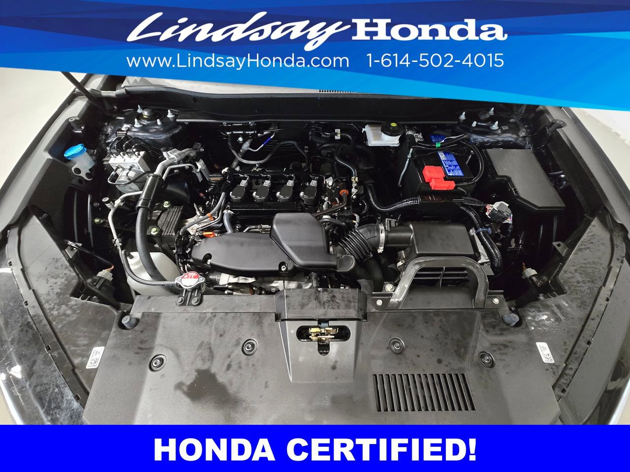 Certified 2024 Honda CR-V EX image 25