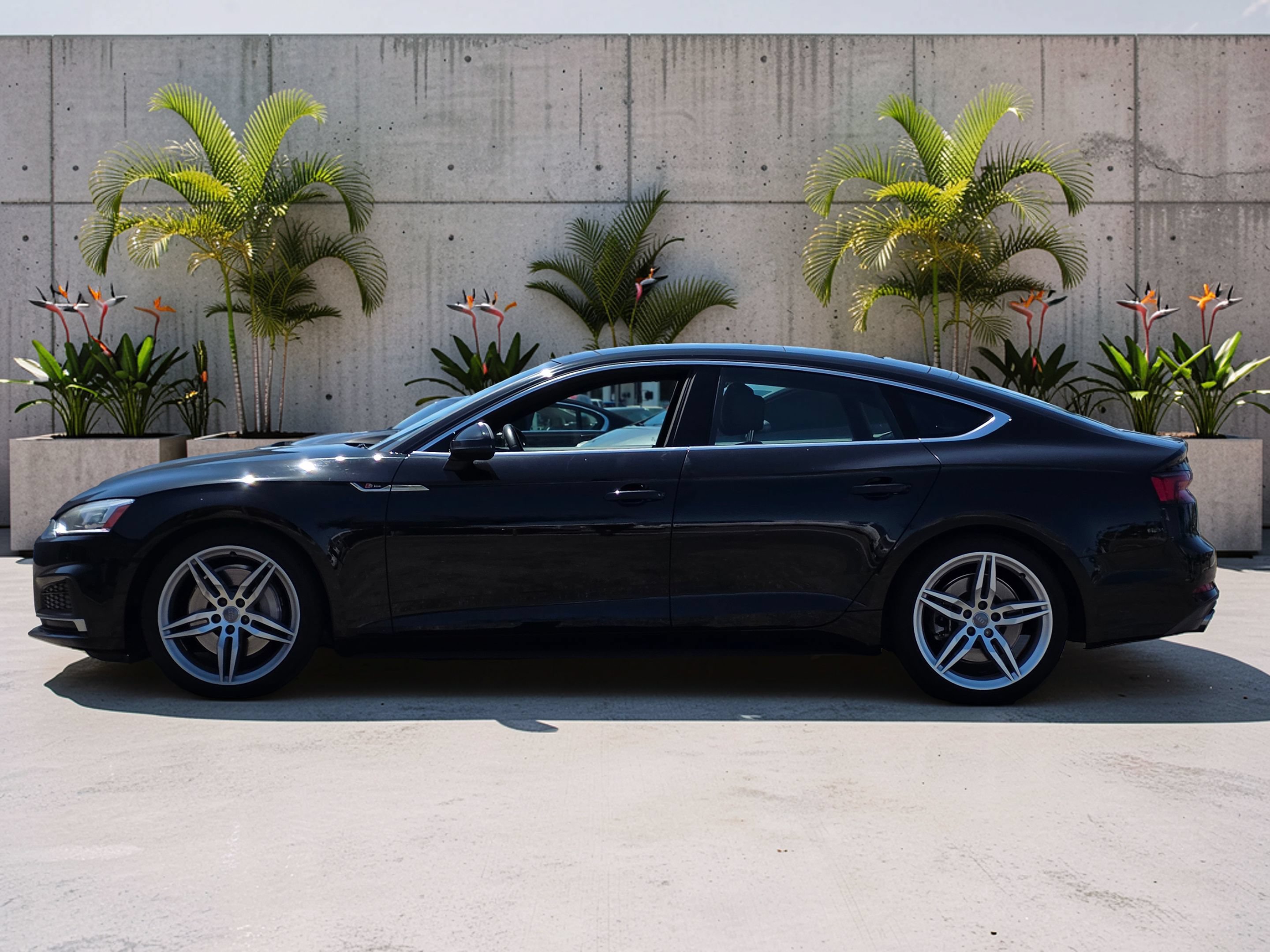 Used 2018 Audi A5 2.0T Premium Plus w/ Premium Plus AWD/4WD image 5