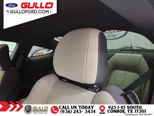 Used 2019 Ford Mustang GT image 14