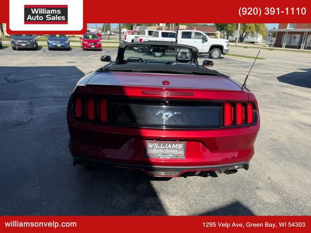 Used 2017 Ford Mustang Premium RWD image 4