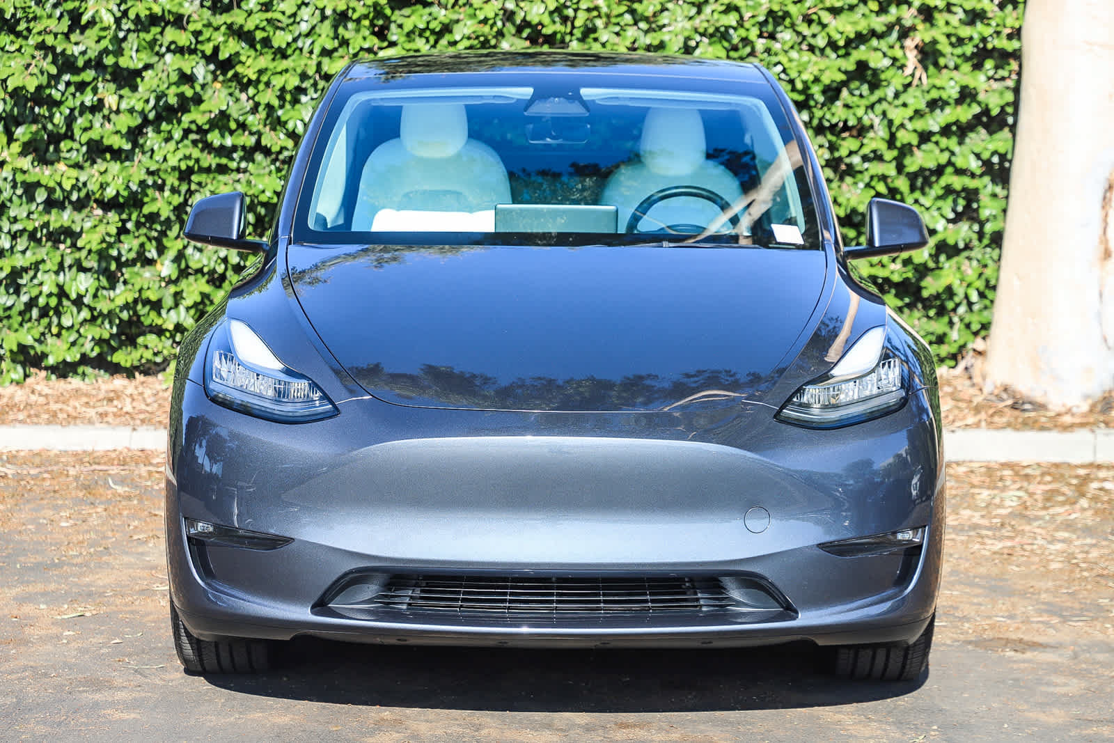 Used 2023 Tesla Model Y Long Range AWD/4WD image 2