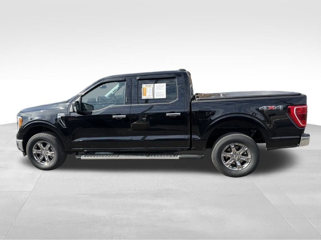 Used 2023 Ford F150 XLT w/ Equipment Group 302A High image 4