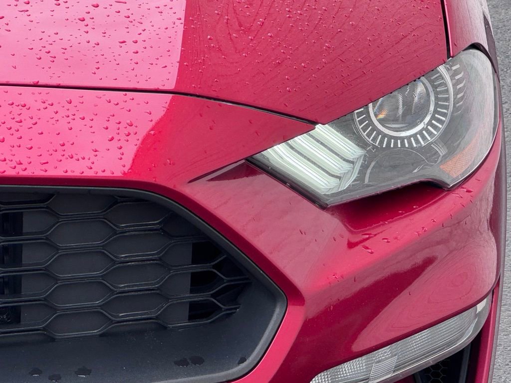 Certified 2021 Ford Mustang EcoBoost w/ Equipment Group 101A image 5