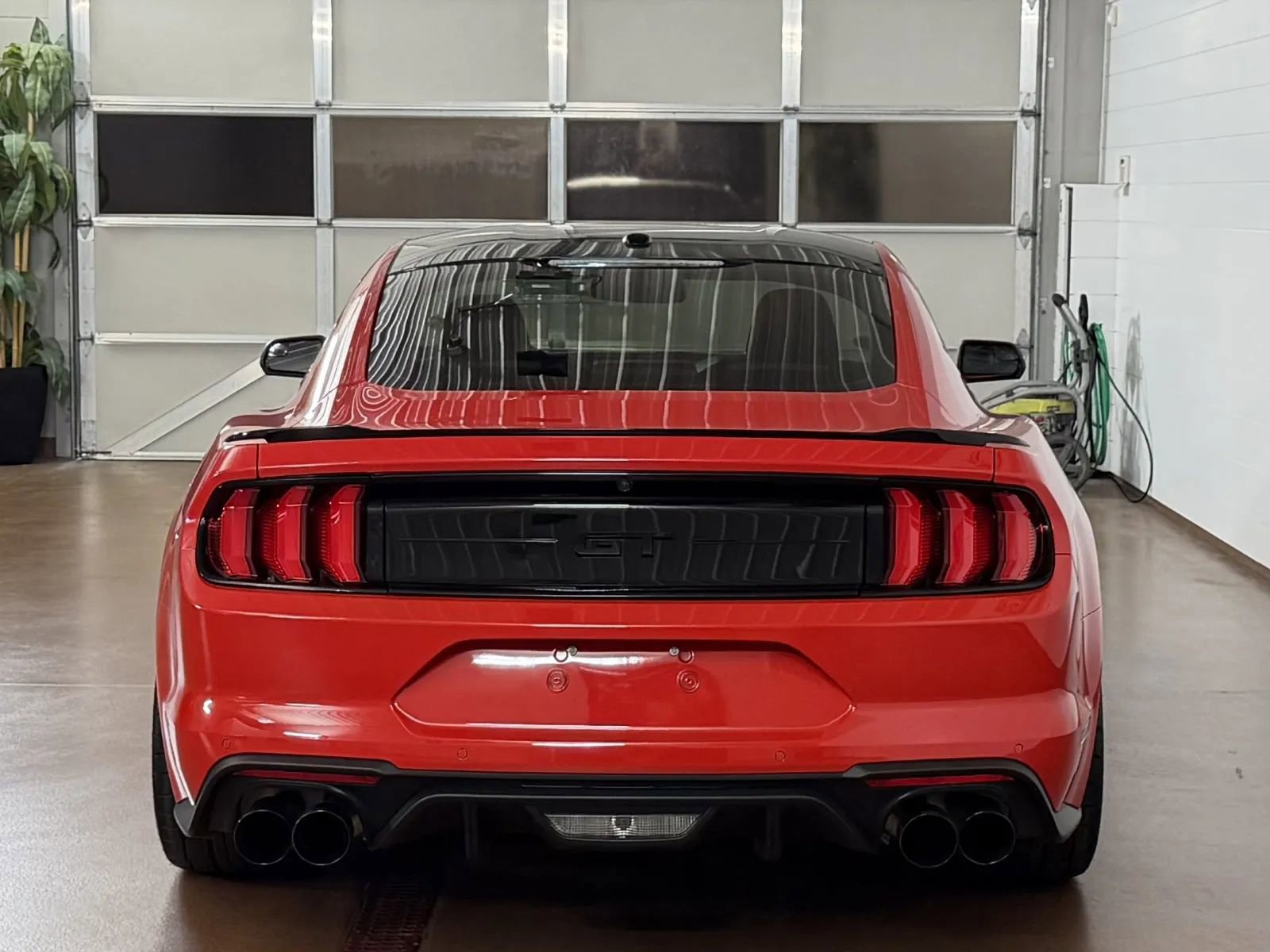 Used 2019 Ford Mustang GT w/ Equipment Group 301A RWD image 4