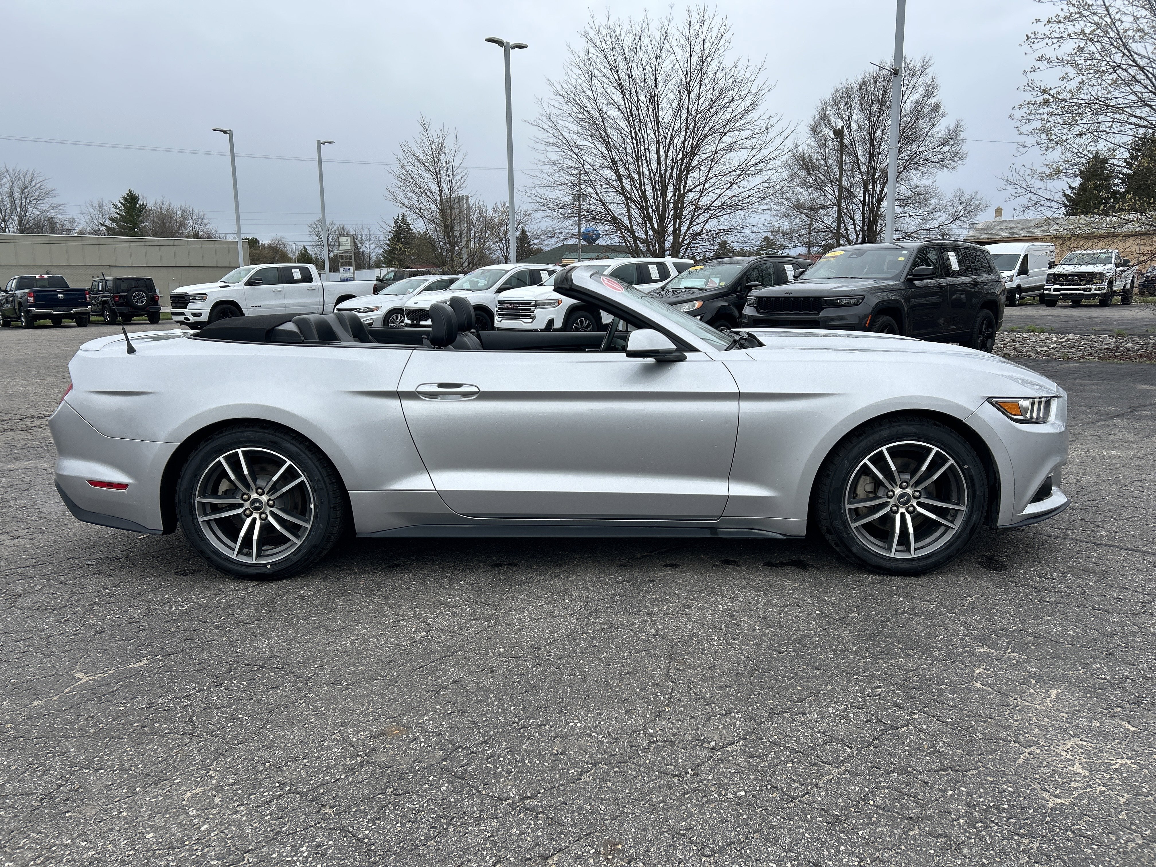 Used 2017 Ford Mustang Premium RWD image 4