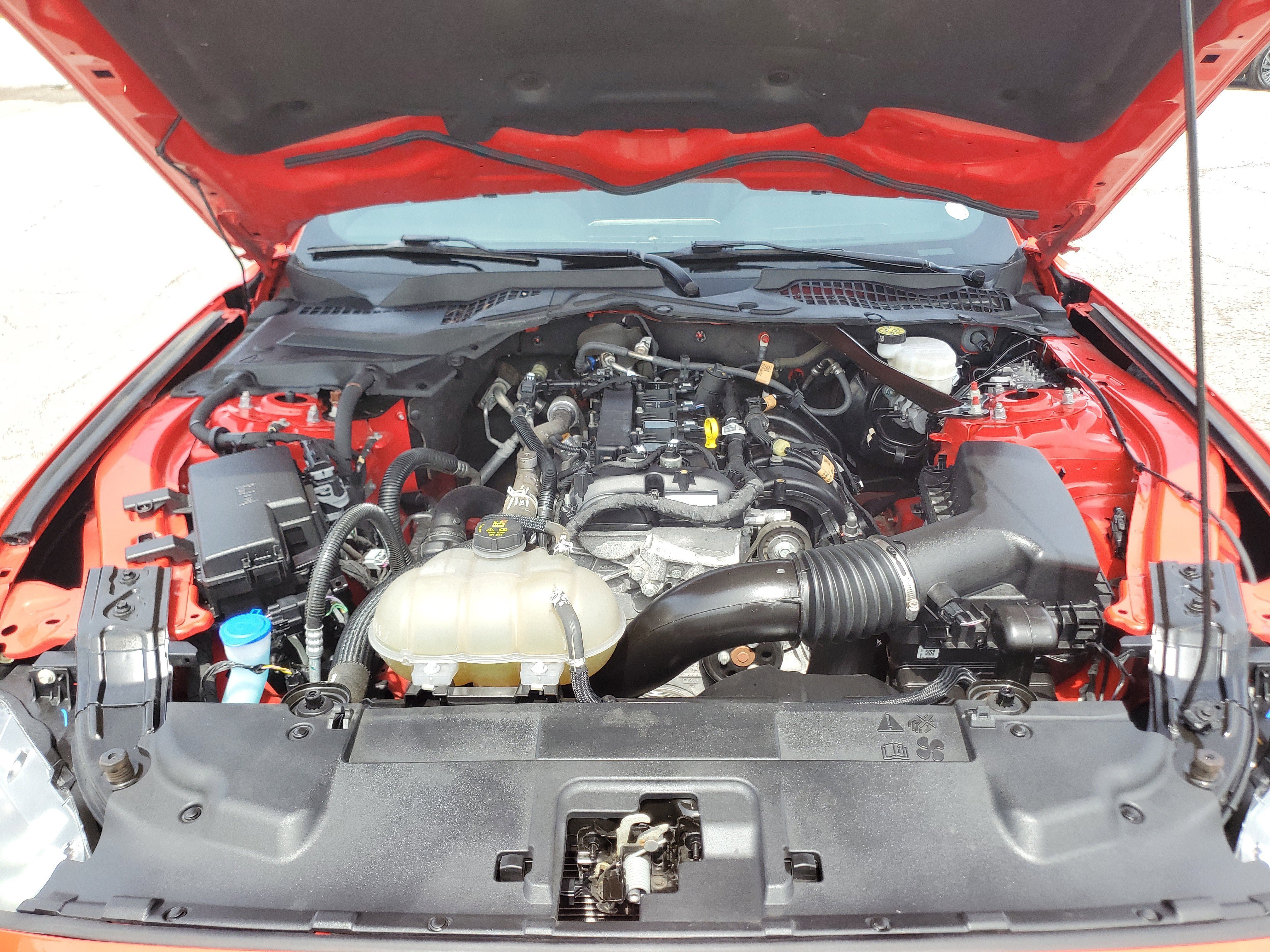 Used 2023 Ford Mustang Premium RWD image 8
