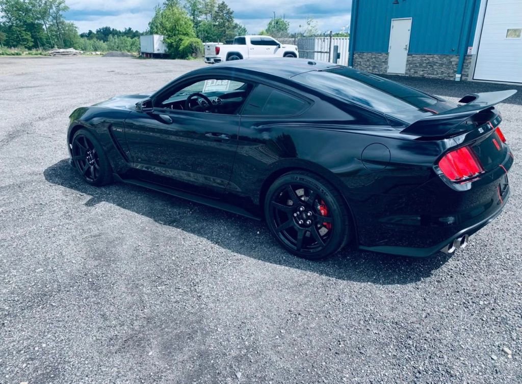 Used 2016 Ford Mustang Shelby GT350R w/ GT350R Equipment Group 920A image 2