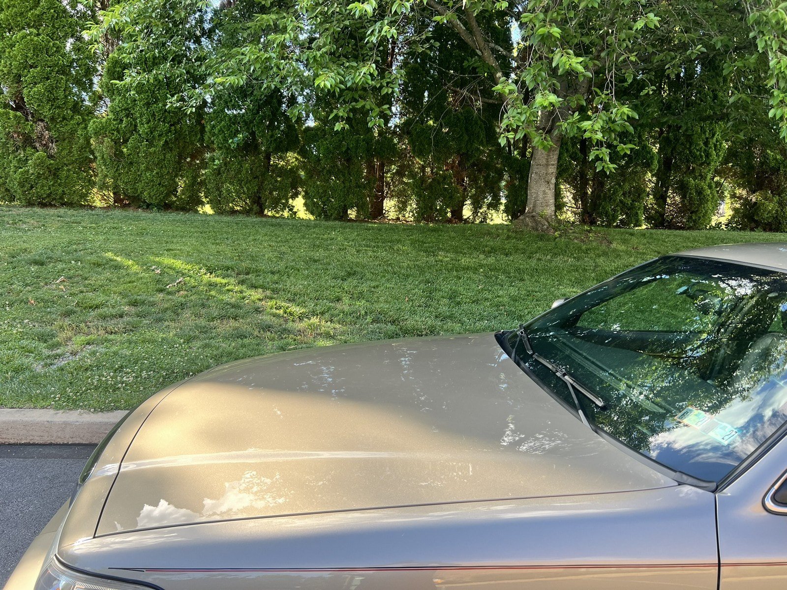 Used 2003 Mercury Grand Marquis LS RWD image 69