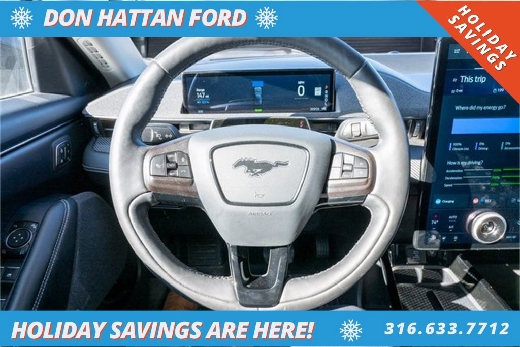 Used 2021 Ford Mustang Mach-E Premium image 6