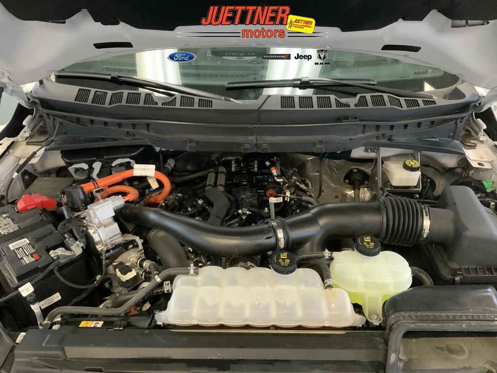 Used 2024 Ford F150 King Ranch AWD/4WD image 4