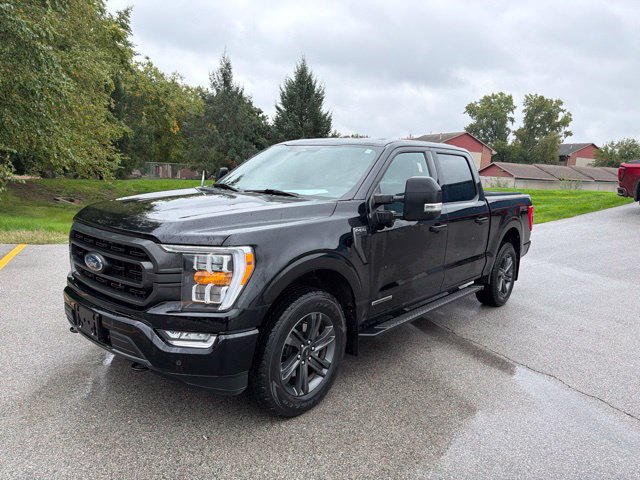 Used 2023 Ford F150 XLT w/ Equipment Group 302A High