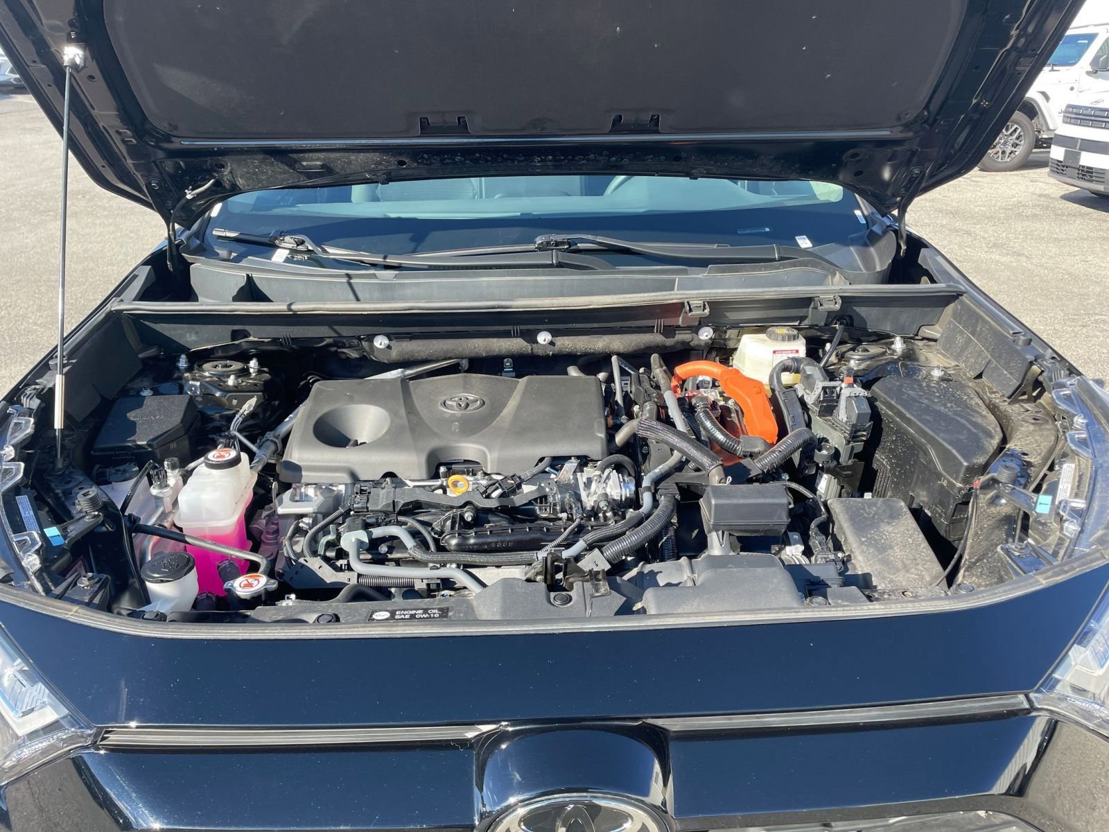 Used 2025 Toyota RAV4 LE image 31