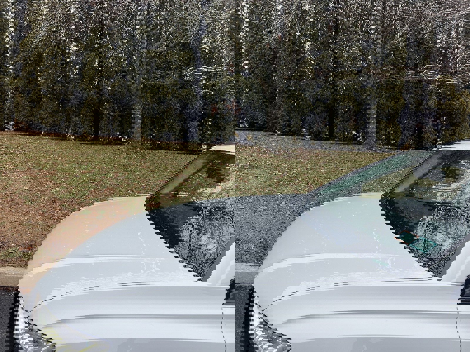 Used 2019 Audi Q8 Prestige image 84