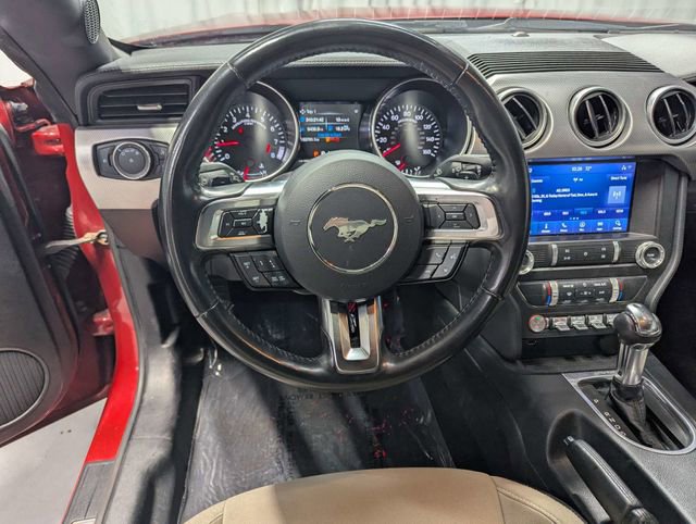 Used 2021 Ford Mustang GT w/ Equipment Group 301A RWD image 7