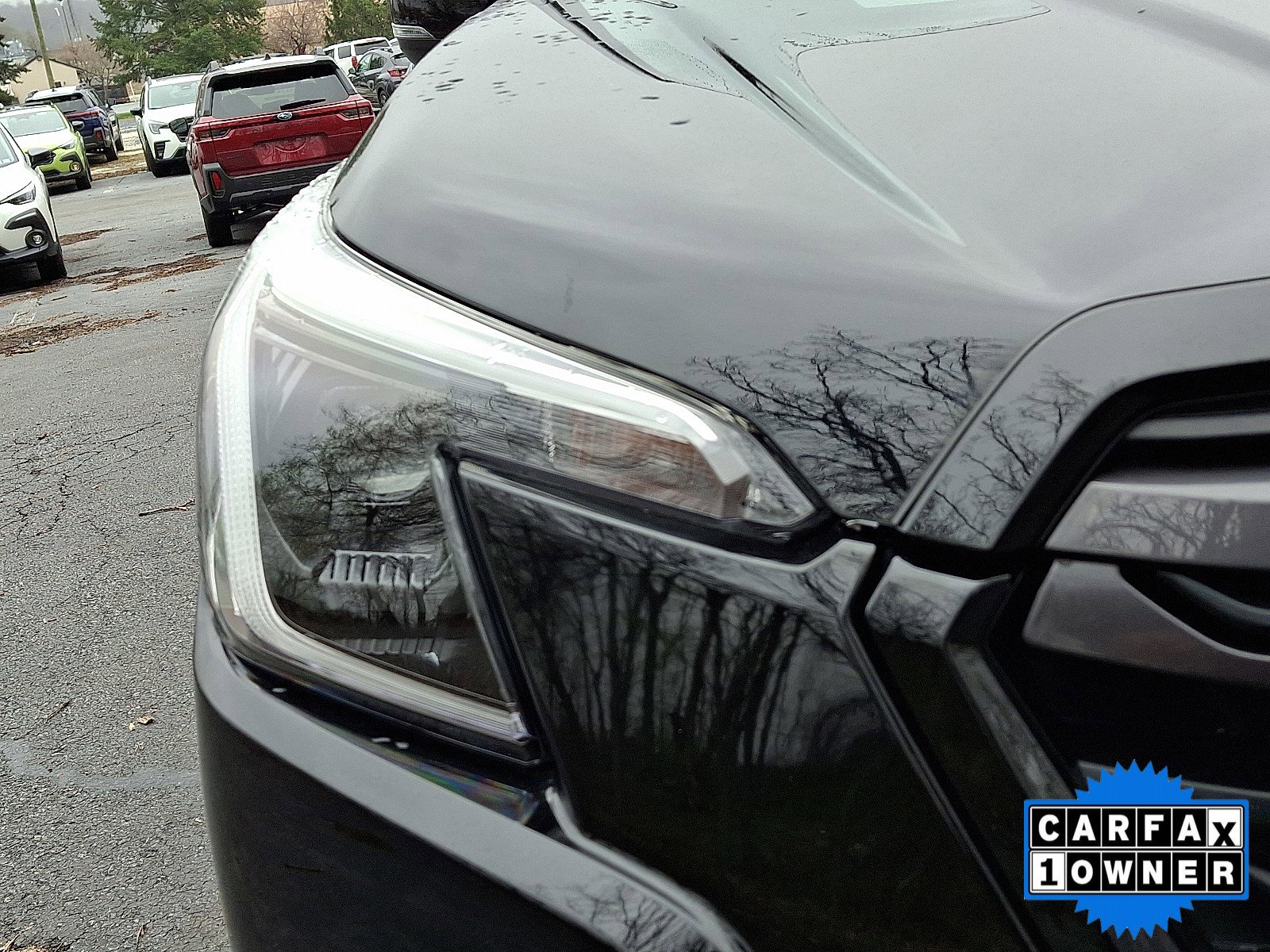 Certified 2023 Subaru Forester Limited image 12