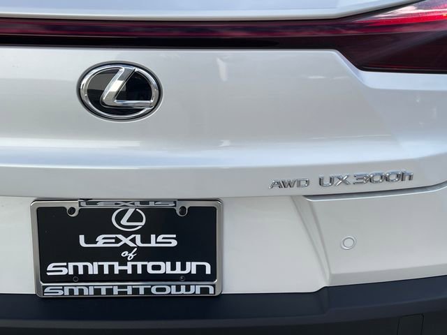 New 2025 Lexus UX 300h AWD w/ Cold Area Package image 12