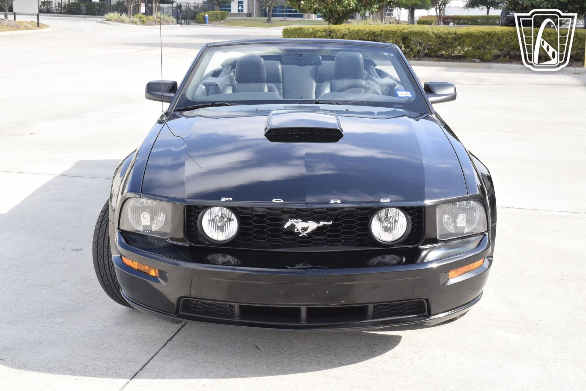 Used 2009 Ford Mustang GT image 6