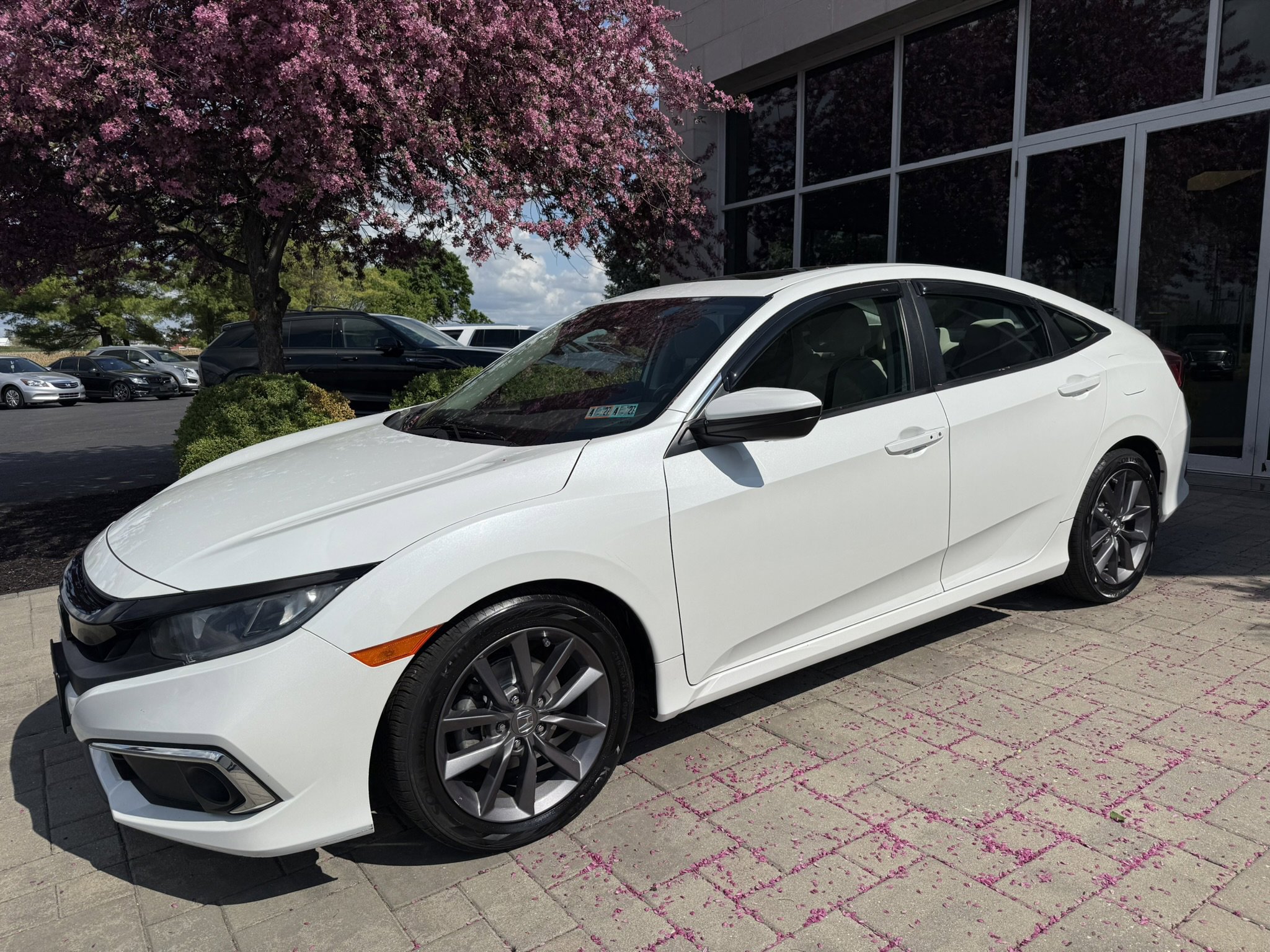 Used 2020 Honda Civic EX image 3