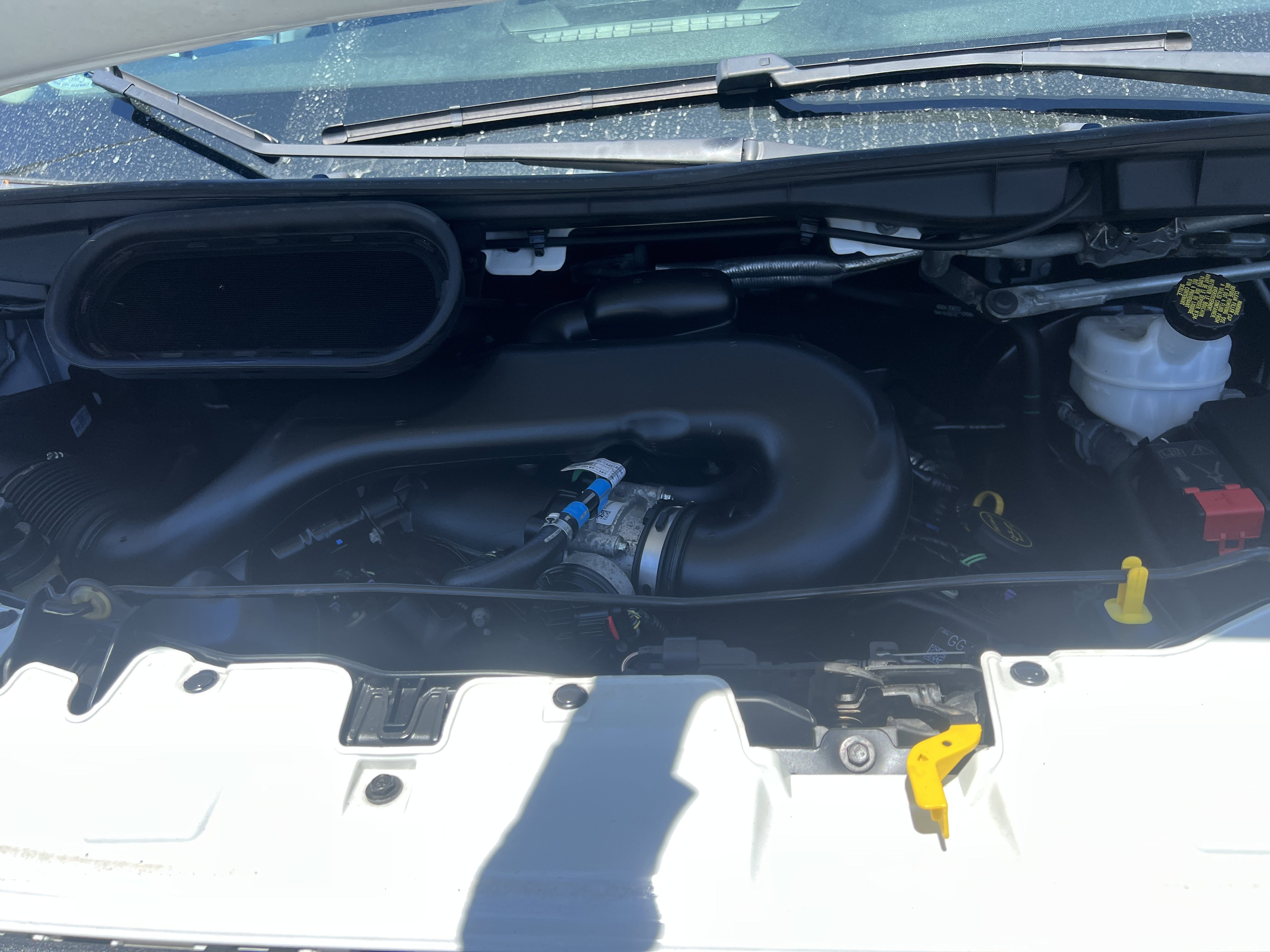 Used 2019 Ford Transit 150 148 Low Roof RWD image 18