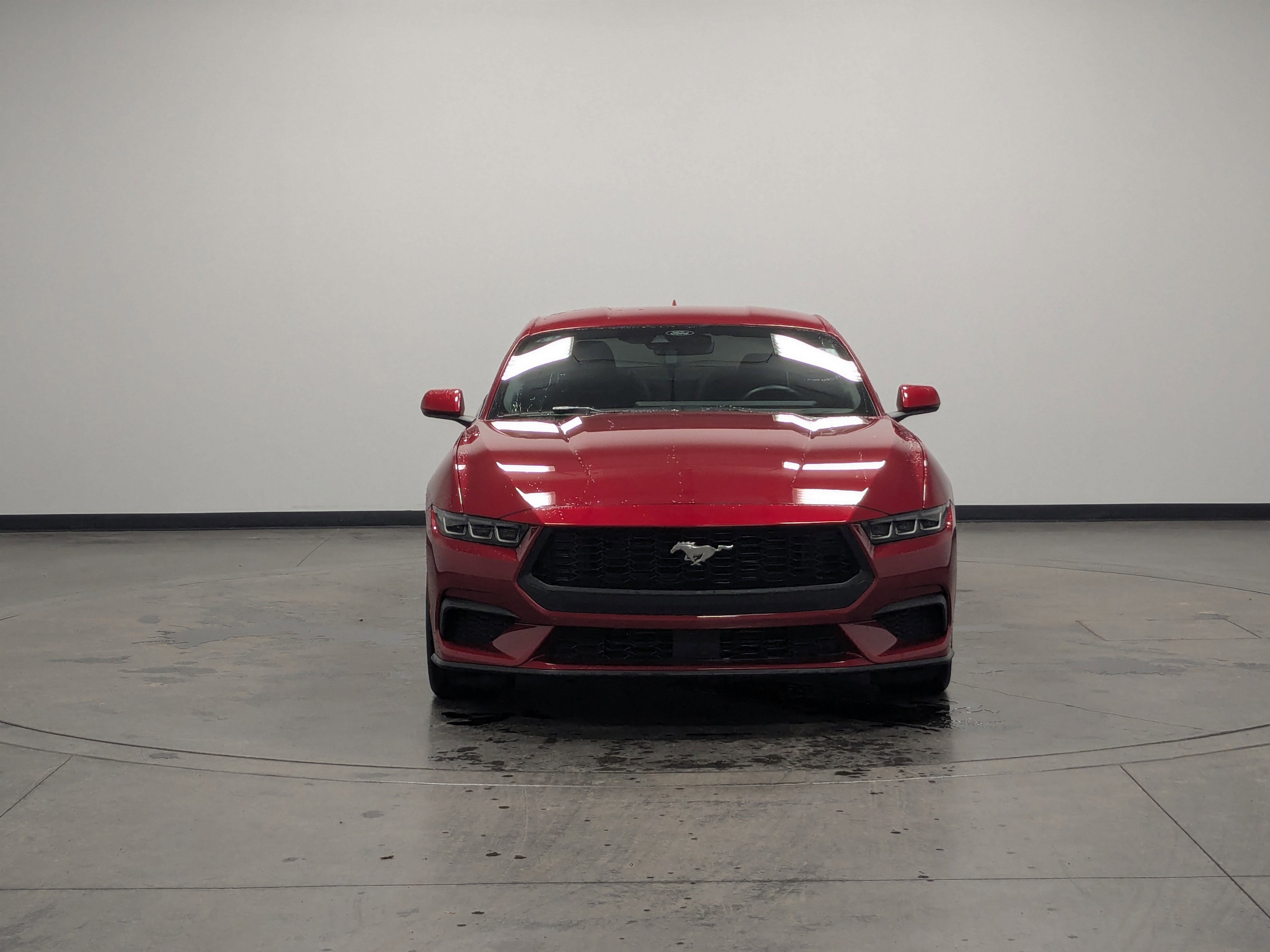 Used 2024 Ford Mustang Premium image 3