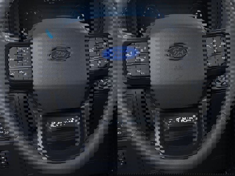 New 2026 Ford F150 Platinum image 12