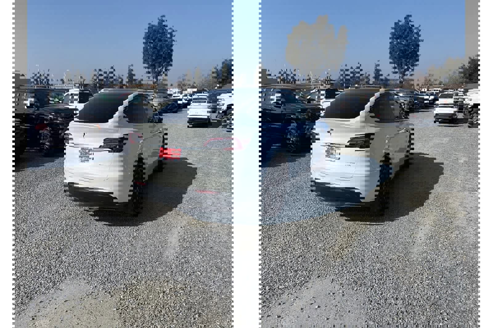 Used 2022 Tesla Model Y Long Range image 7