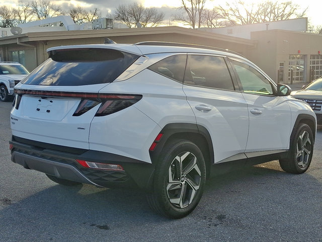 Used 2023 Hyundai Tucson Limited image 4