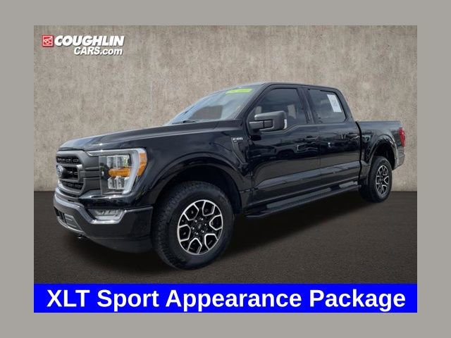 Used 2023 Ford F150 XLT w/ Equipment Group 302A High image 1