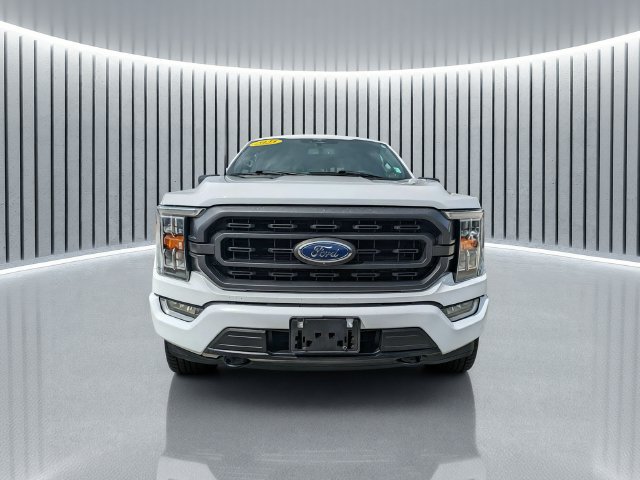 Used 2023 Ford F150 XLT w/ Equipment Group 302A High AWD/4WD image 9
