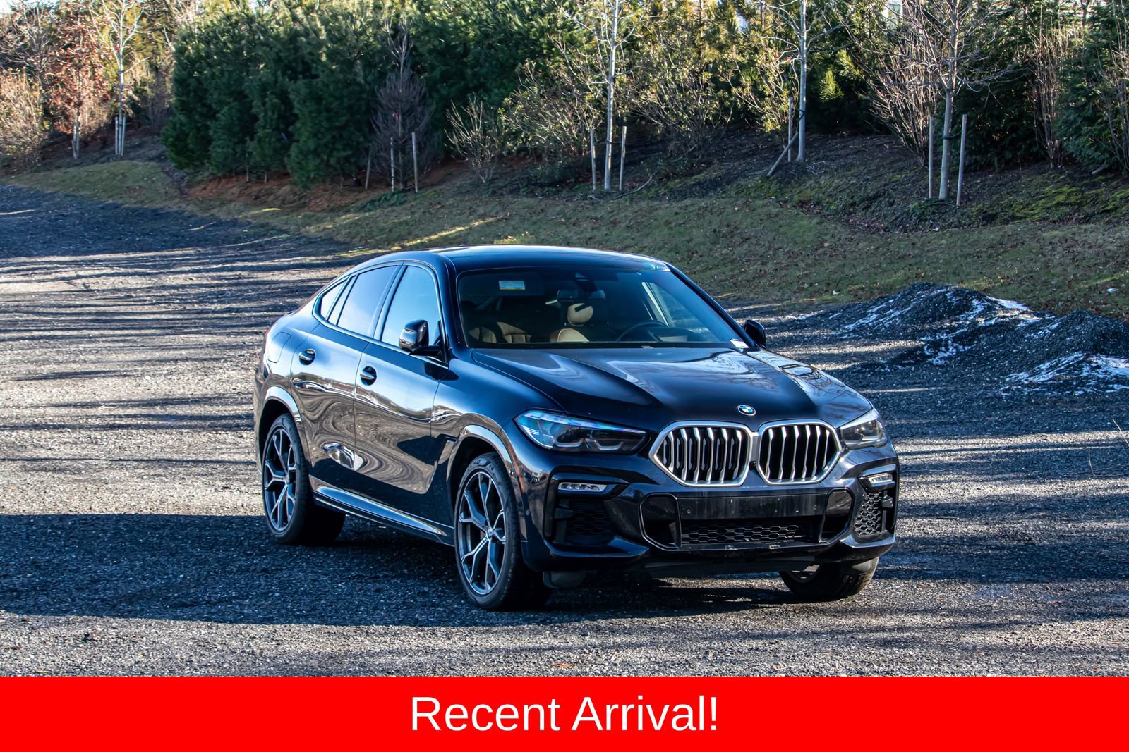Used 2021 BMW X6 sDrive40i image 12