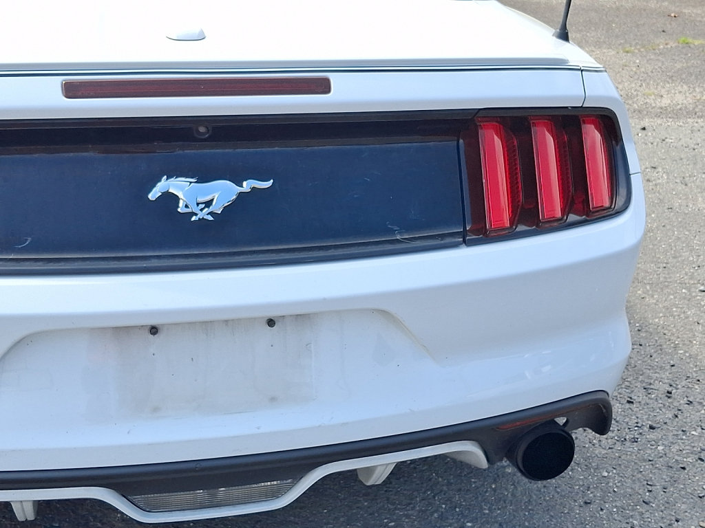 Used 2015 Ford Mustang Premium RWD image 14