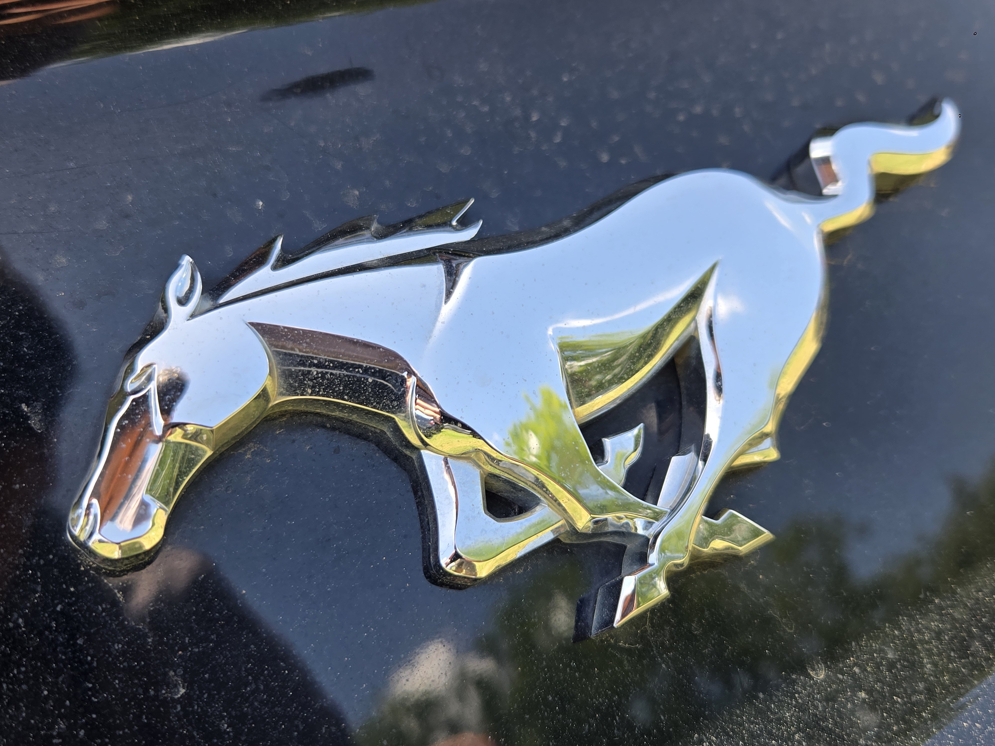 Certified 2019 Ford Mustang Premium w/ Equipment Group 201A RWD image 10