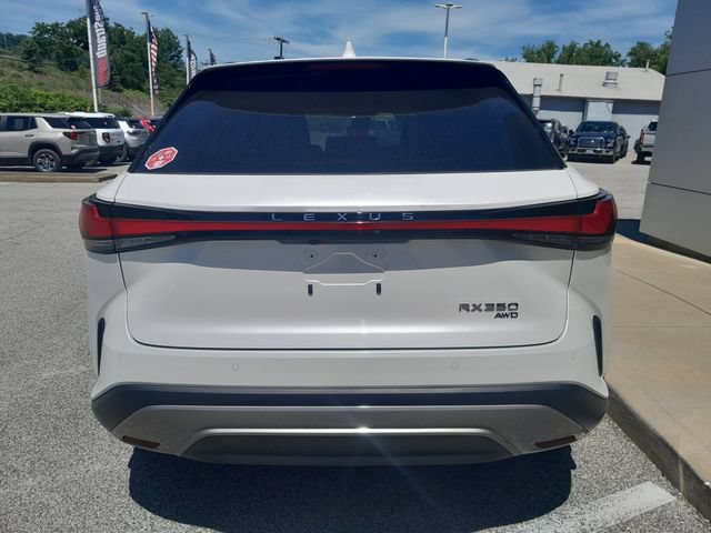 Used 2023 Lexus RX 350 Premium w/ Cold Area Package AWD/4WD image 6