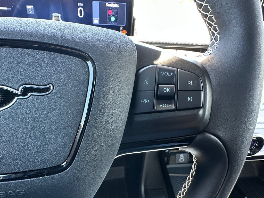 New 2025 Ford Mustang Mach-E GT w/ Interior Protection Package AWD/4WD image 25
