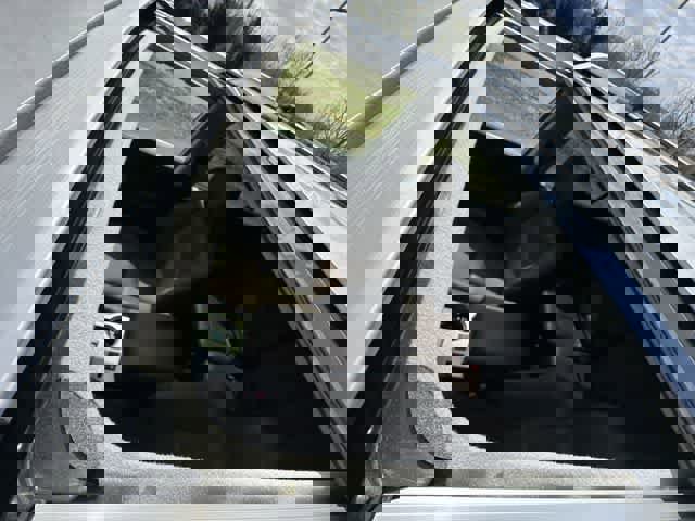 Used 2024 Toyota 4Runner Limited image 6