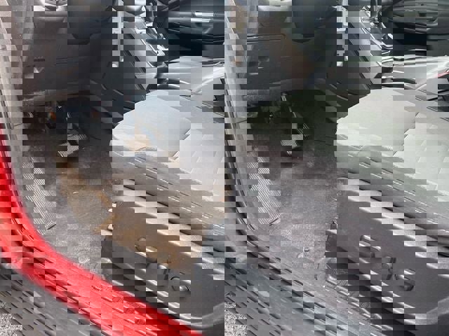 Used 2016 Ford Escape SE w/ Equipment Group 201A image 12