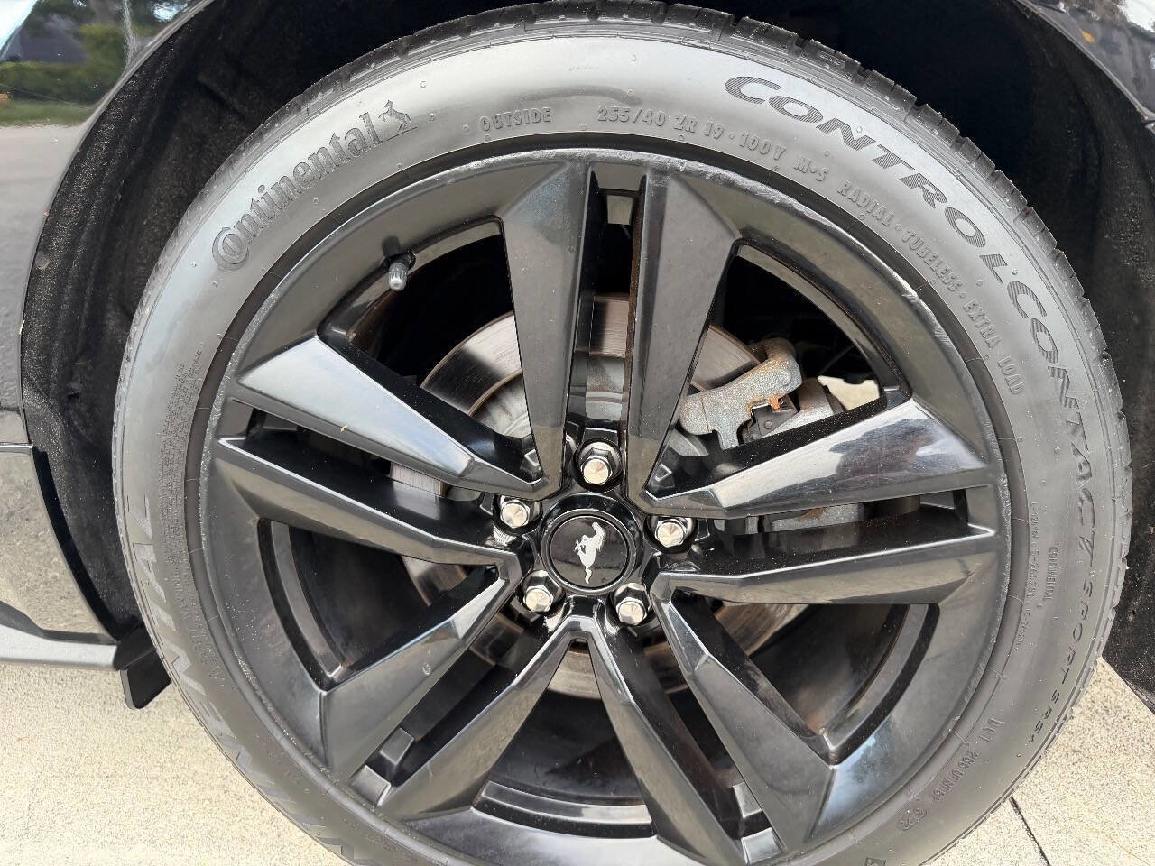 Used 2015 Ford Mustang Premium w/ Ecoboost Performance Package image 23