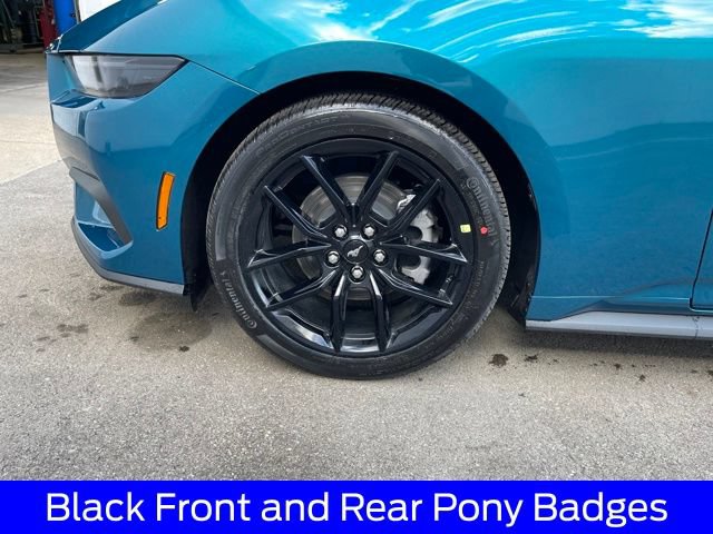 New 2026 Ford Mustang Coupe w/ Mustang Nite Pony Package RWD image 21