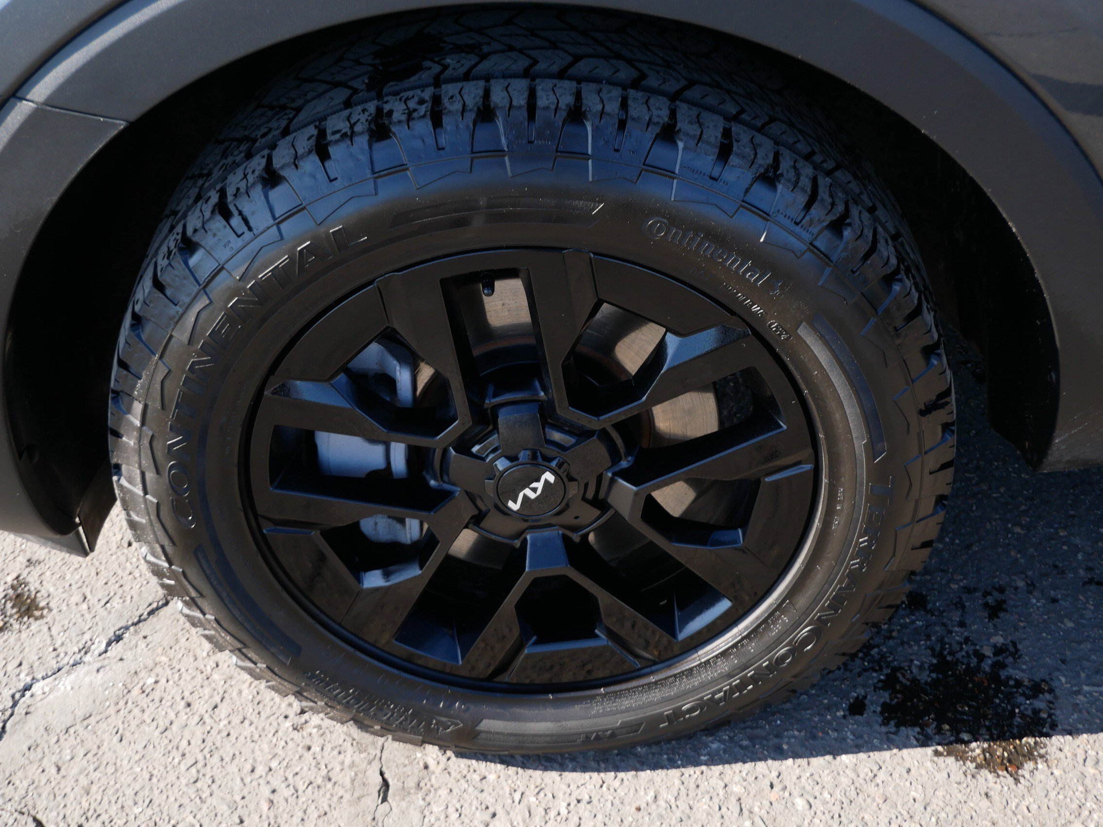 Used 2024 Kia Telluride SX Prestige X-Pro image 16