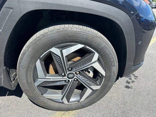 Used 2023 Hyundai Tucson Limited AWD/4WD image 11