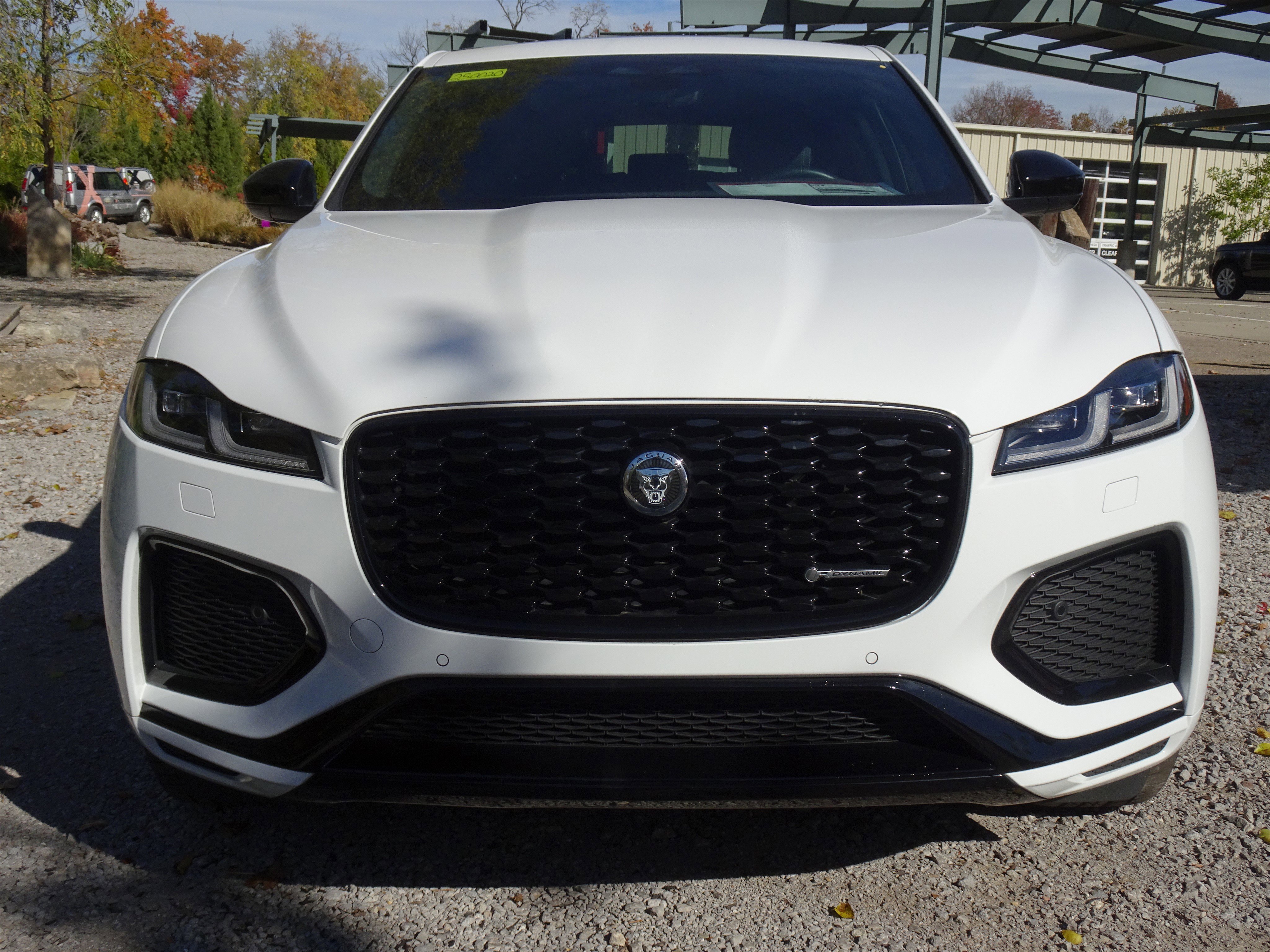 Certified 2025 Jaguar F-PACE R-Dynamic S image 13