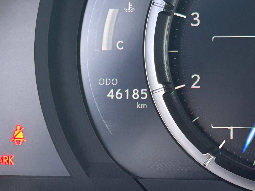 Used 2024 Lexus IS 350 F Sport w/ Memory Package RWD image 28